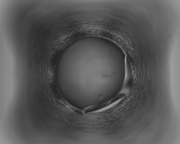 X0000116801013200912241157