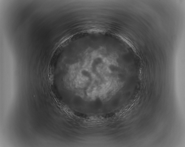 X0000116801015200912241157