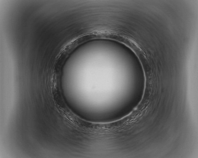 X0000116801016200912241157