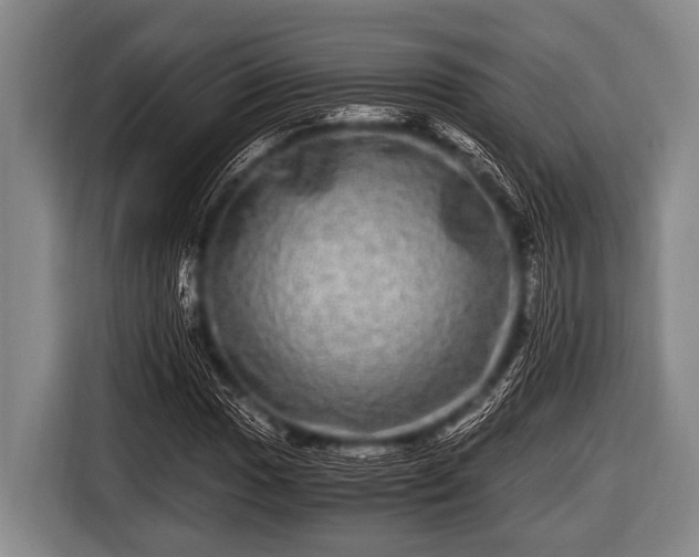 X0000116801017200912241157