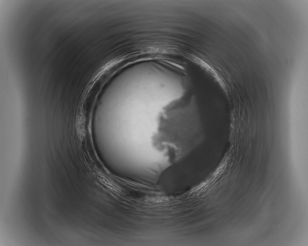 X0000116801019200912241157