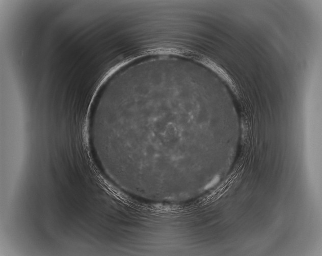 X0000116801020200912241157