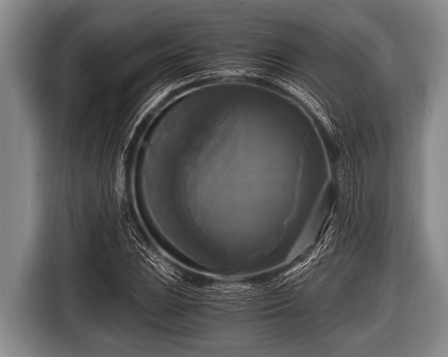 X0000116801023200912241157