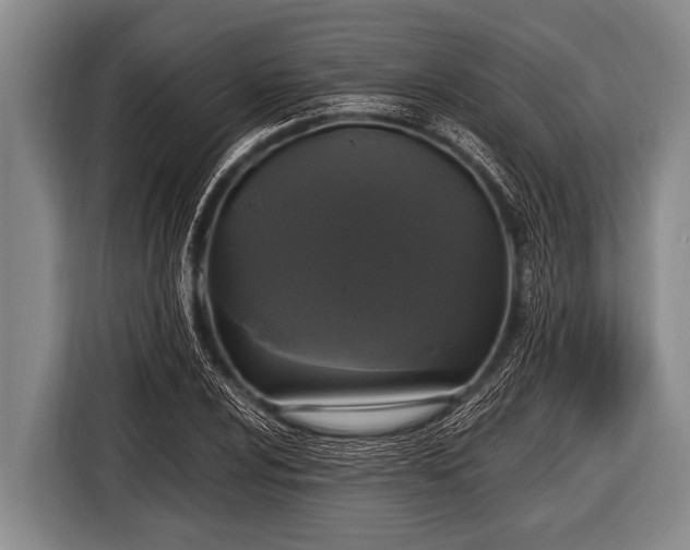 X0000116801024200912241157