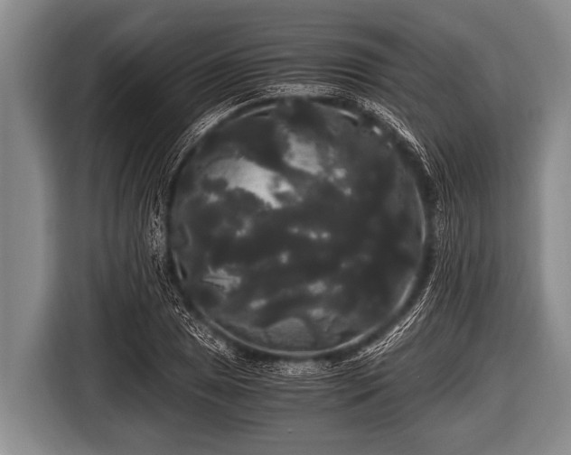 X0000116801025200912241157