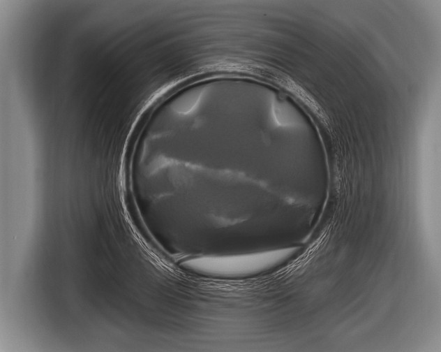 X0000116801028200912241157