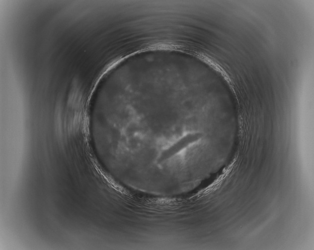 X0000116801029200912241157