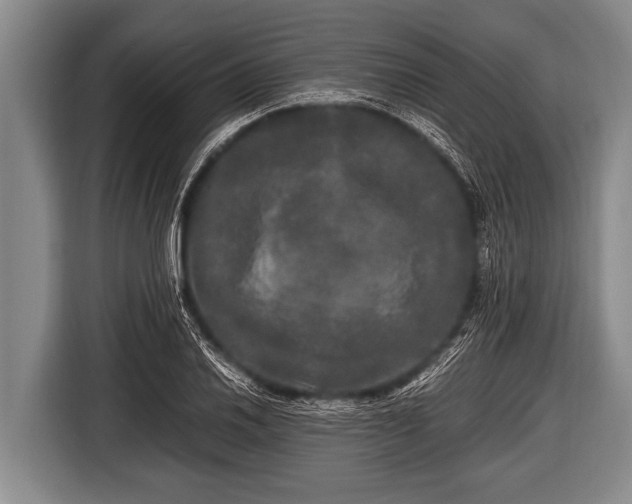 X0000116801030200912241157