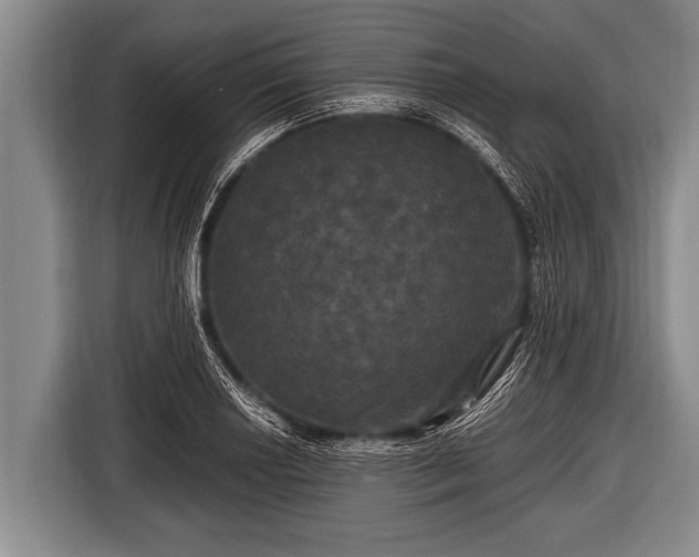 X0000116801034200912241157