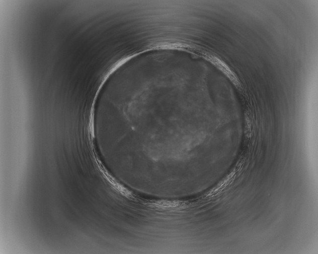 X0000116801036200912241157