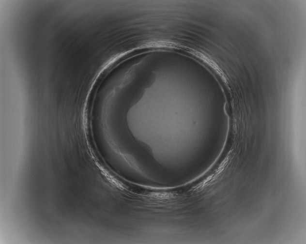 X0000116801037200912241157