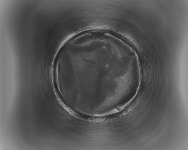 X0000116801038200912241157