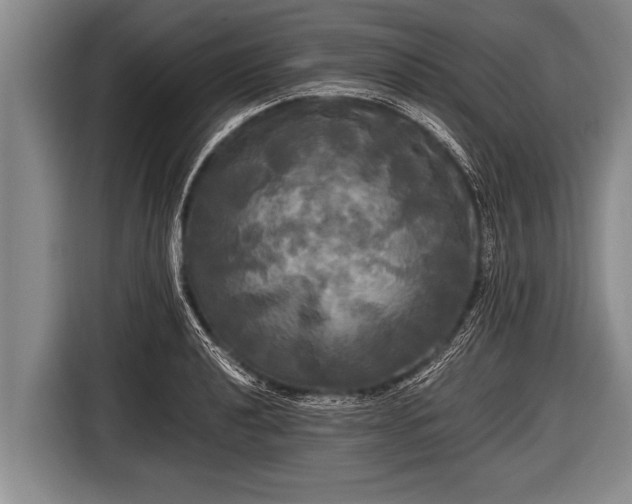 X0000116801040200912241157