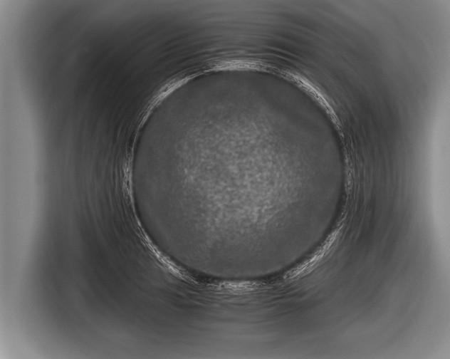 X0000116801041200912241157