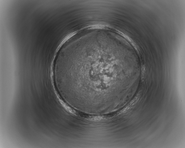 X0000116801042200912241157