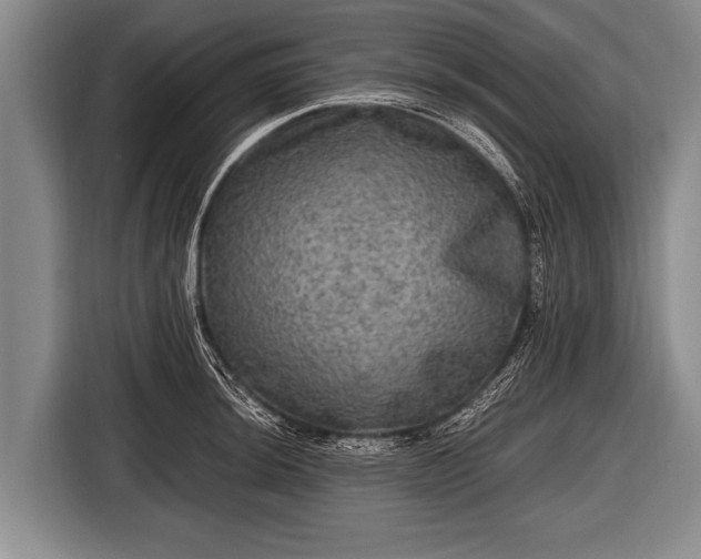 X0000116801044200912241157