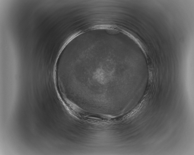 X0000116801050200912241157