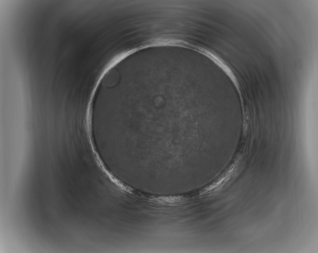 X0000116801053200912241157