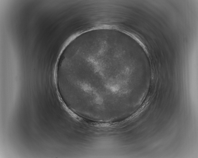 X0000116801054200912241157