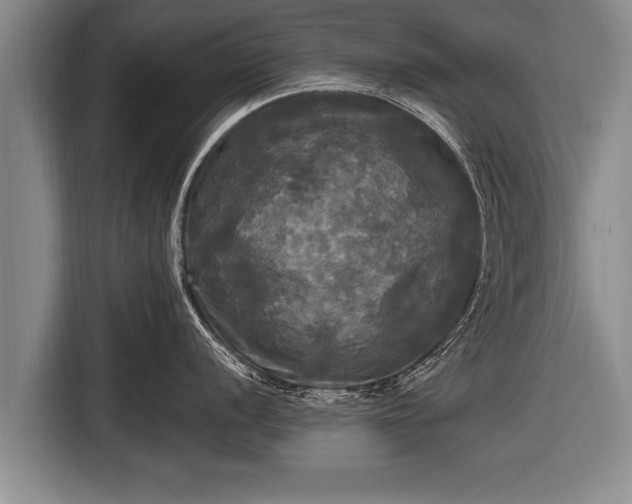 X0000116801056200912241157