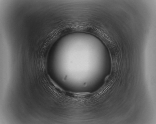 X0000116801058200912241157