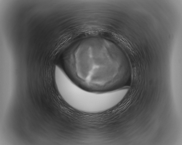 X0000116801060200912241157