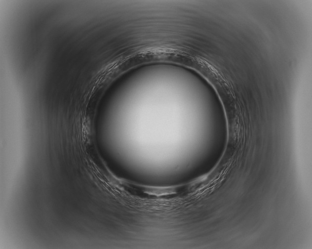 X0000116801062200912241157