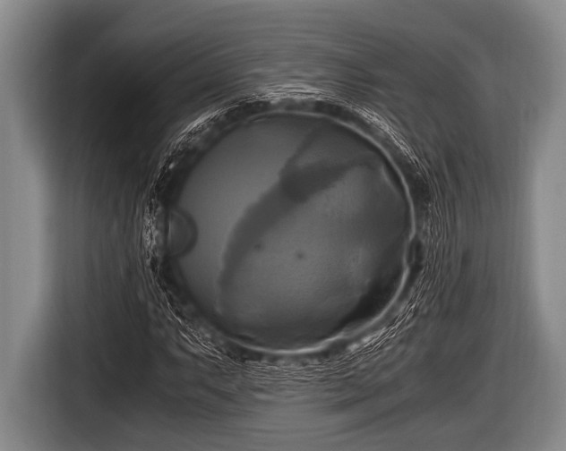 X0000116801063200912241157