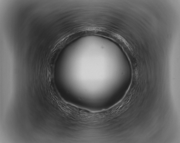 X0000116801064200912241157