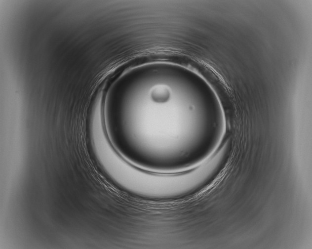 X0000116801065200912241157