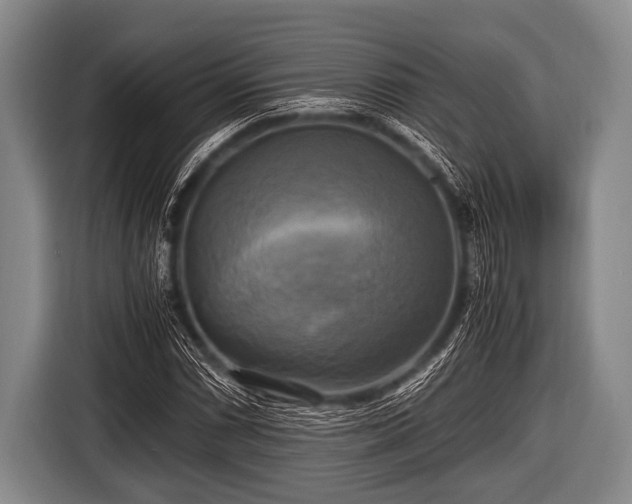 X0000116801066200912241157