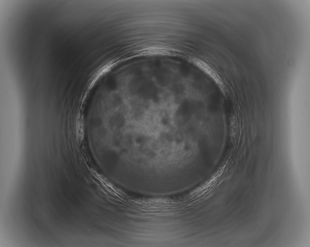 X0000116801067200912241157