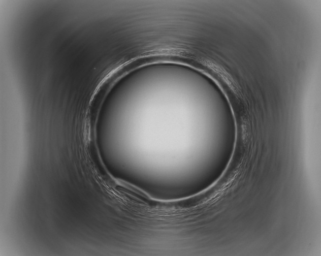 X0000116801069200912241157