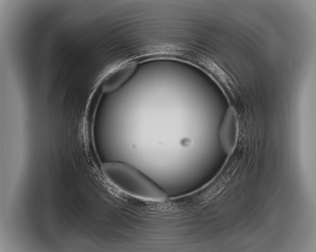 X0000116801072200912241157