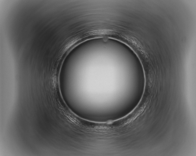 X0000116801073200912241156