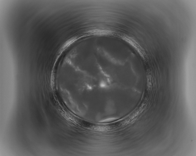 X0000116801074200912241156