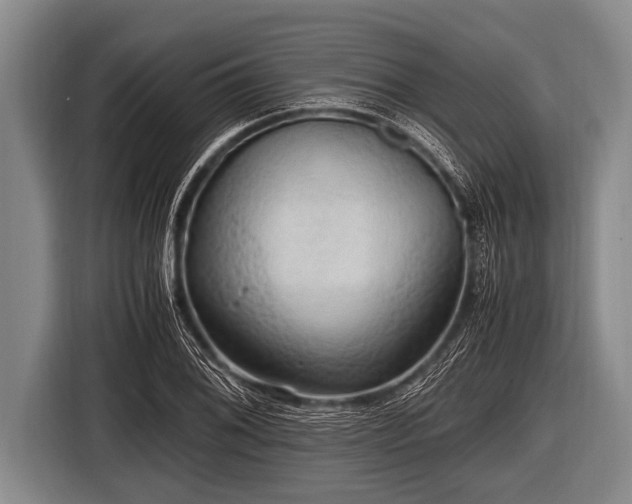 X0000116801076200912241156