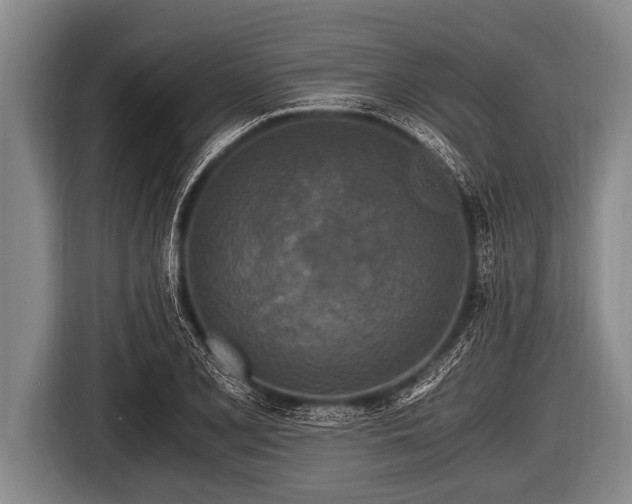 X0000116801077200912241156