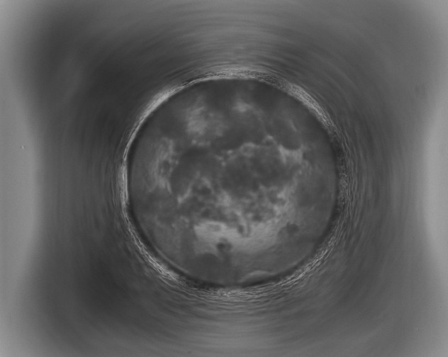 X0000116801079200912241156