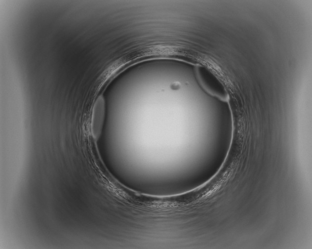 X0000116801081200912241156