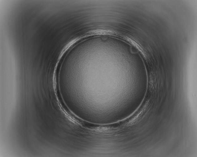 X0000116801082200912241156