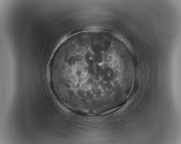 X0000116801083200912241156