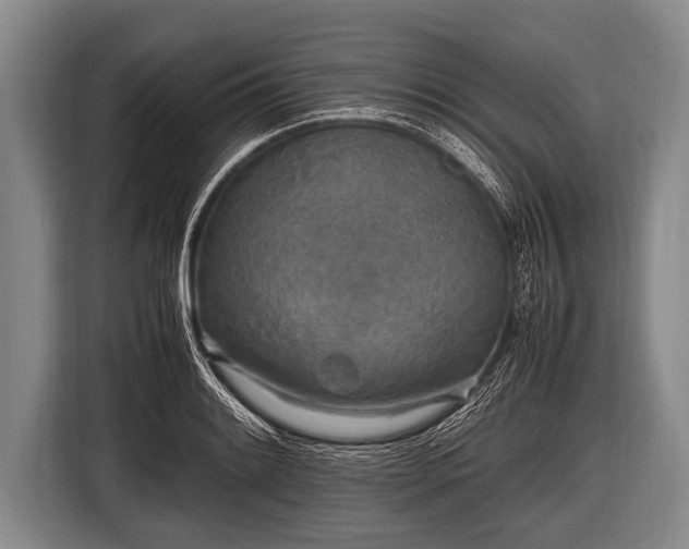 X0000116801084200912241156