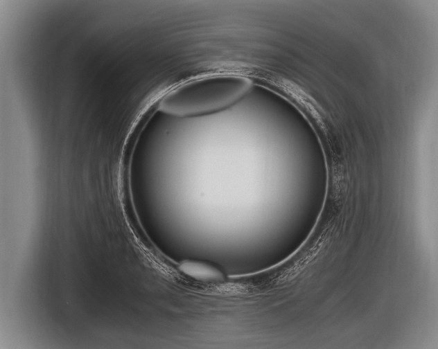 X0000116801085200912241156