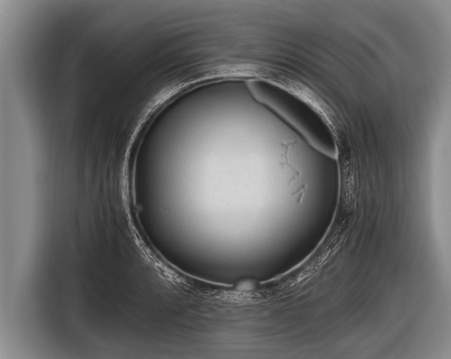 X0000116801088200912241156