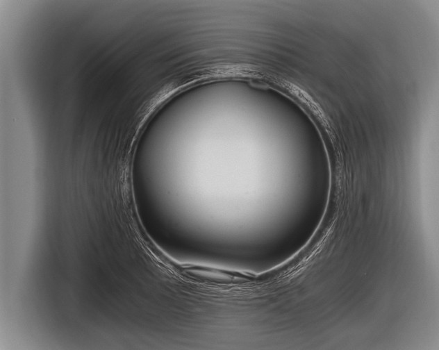 X0000116801089200912241156