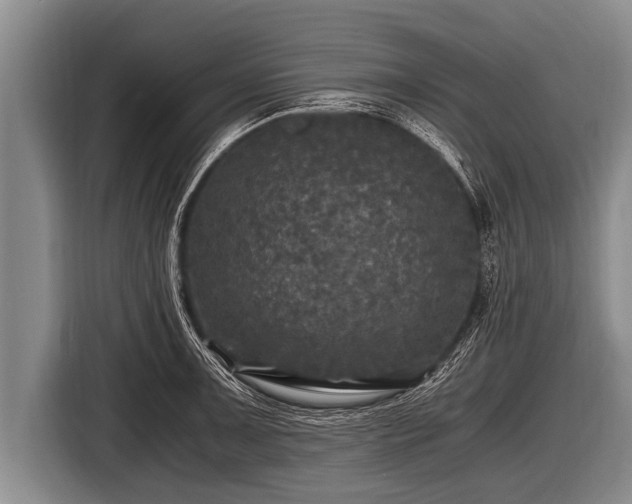 X0000116801091200912241156