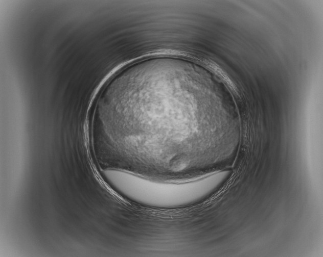 X0000116801092200912241156