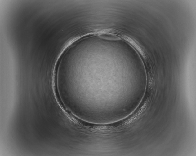 X0000116801093200912241156