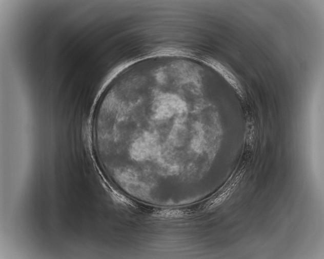 X0000116801094200912241156